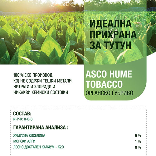 Asco Hume Tobacco