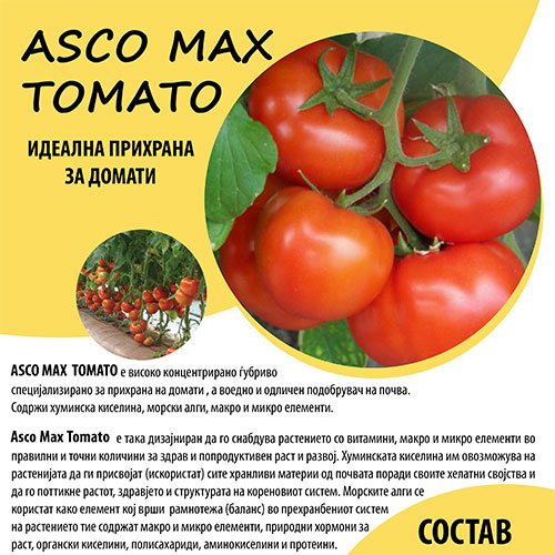 Asco Max Tomato