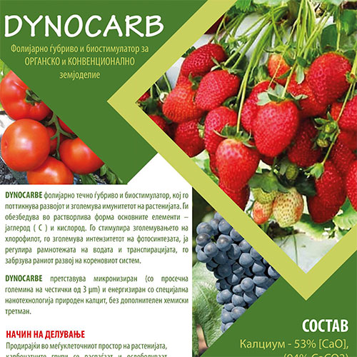 Dynocarb