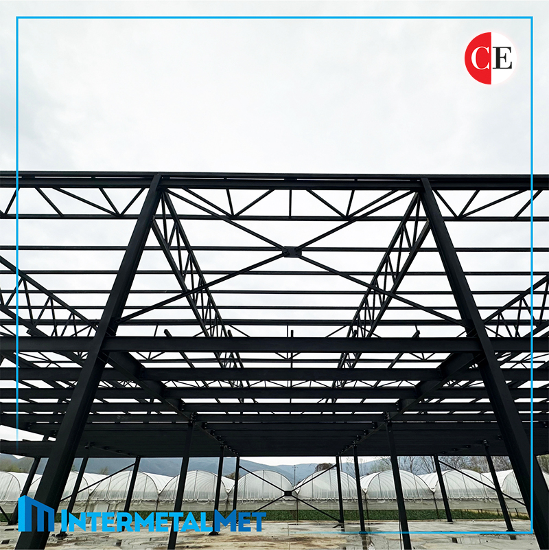 Интер Метал Мет