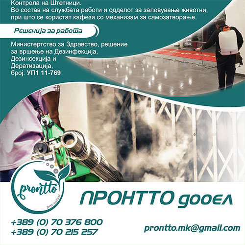 Памфлет